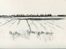 Across  Field
